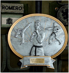 DEFENSUS Selbstverteidigung